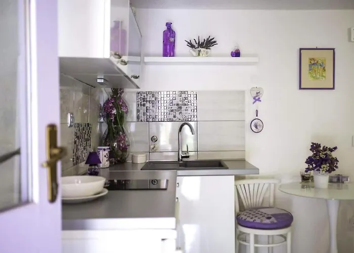 Dom wakacyjny House Marie's Lavander Dream